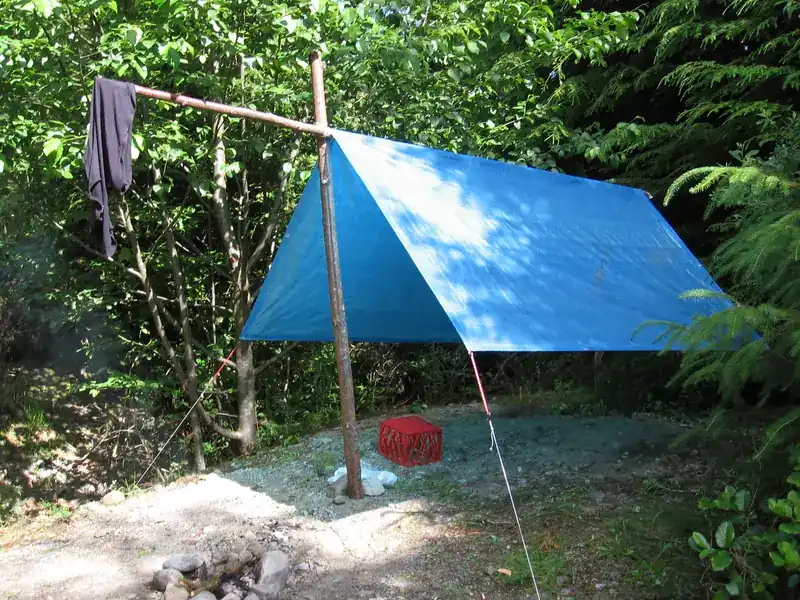 Protective Tarps